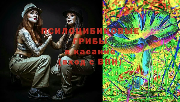 а пвп мука Ладушкин