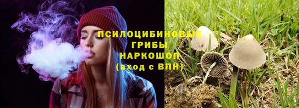 а пвп мука Ладушкин