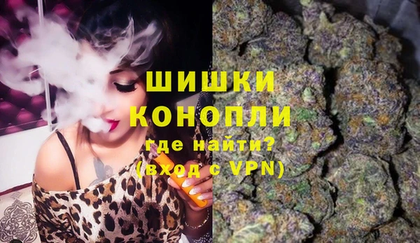 дживик Лагань